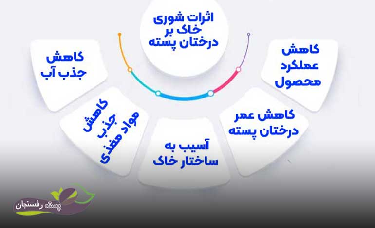 اثرات شوری خاک بر درختان پسته