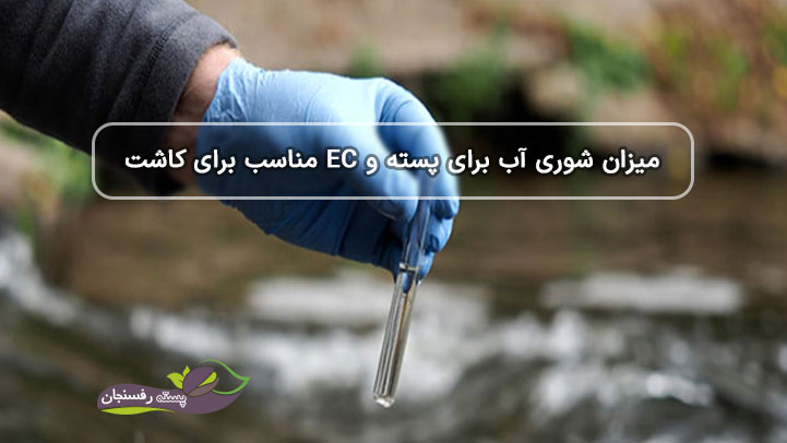  میزان شوری آب برای پسته و EC مناسب برای کاشت