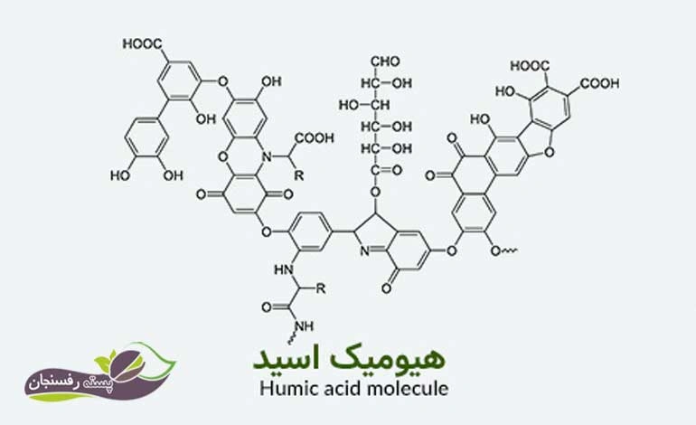 کود هیومیک اسید