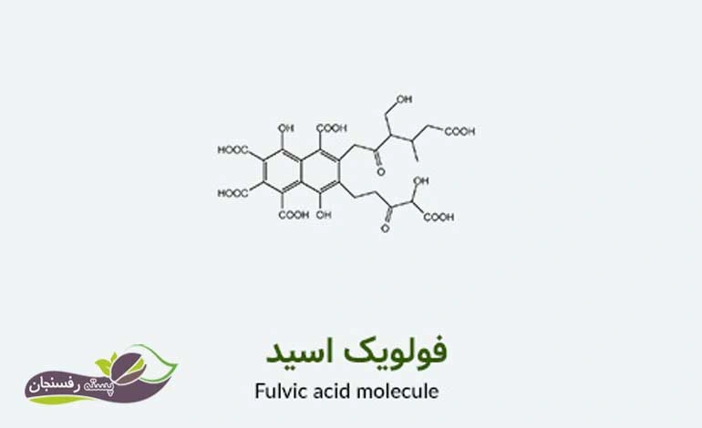 فولویک اسید