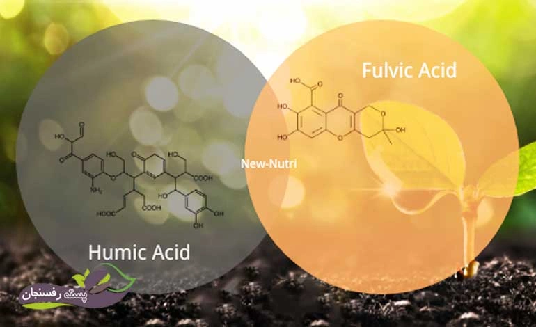 تفاوت هیومیک اسید و فولویک اسید