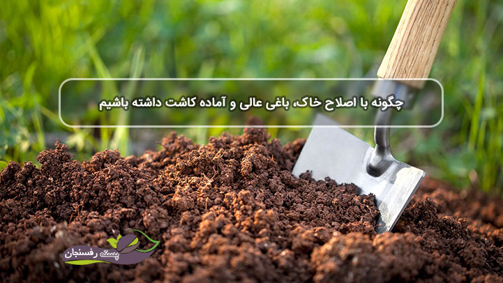 چگونه با اصلاح خاک باغی عالی و آماده کاشت داشته باشیم