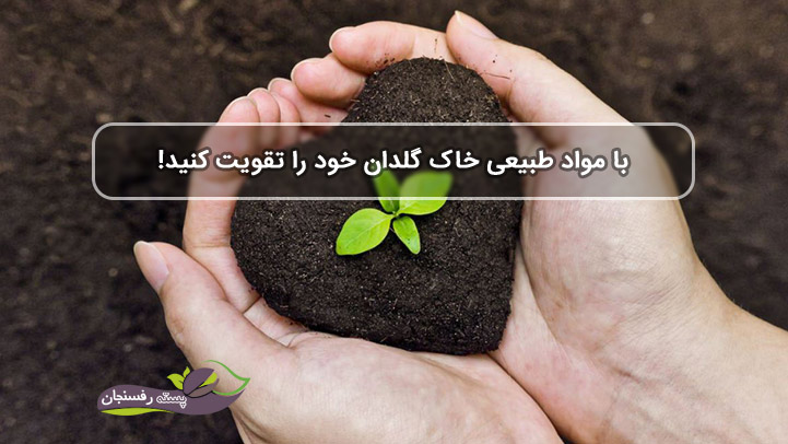  با مواد طبیعی خاک گلدان خود را تقویت کنید!