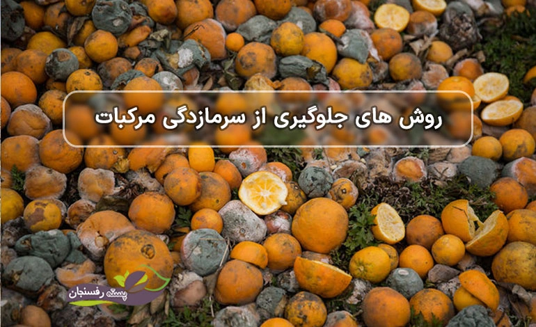 جلوگیر از سرمازدگی مرکبات