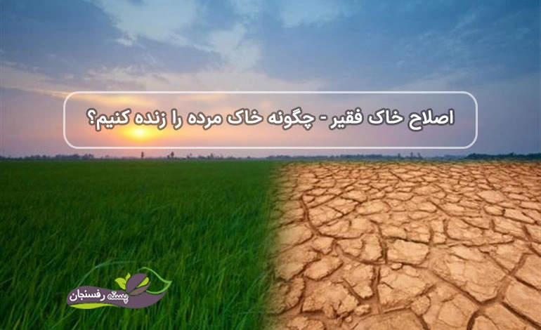 چگونه خاک مرده را زنده کنیم!