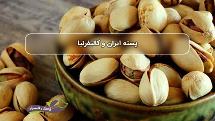 پسته یک میوه جهانی ، پرورش و نگه داری و انواع پسته در ایران و آمریکا