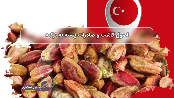 وضعیت صنعت کاشت پسته در ترکیه