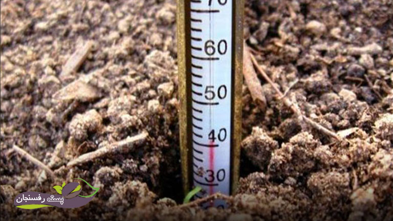 دمای خاک نامناسب علت جوانه نزدن بذر
