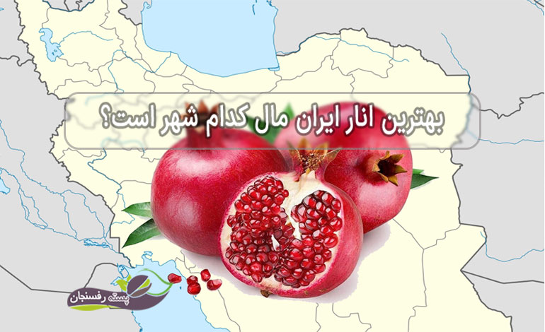  بهترین انار ایران