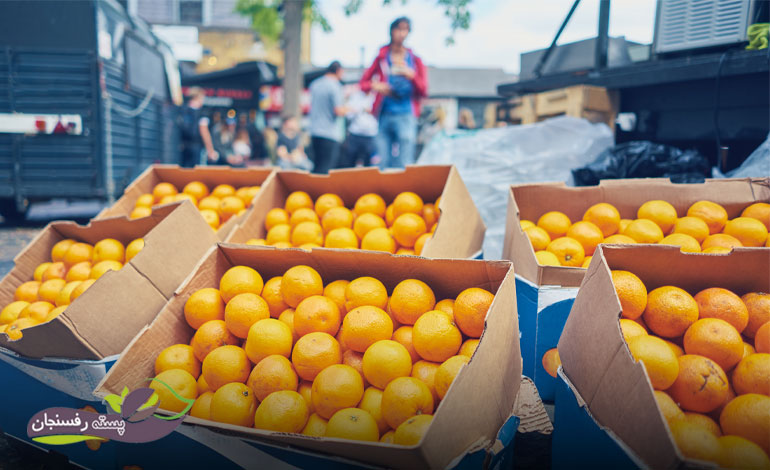 صادرات نارنگی