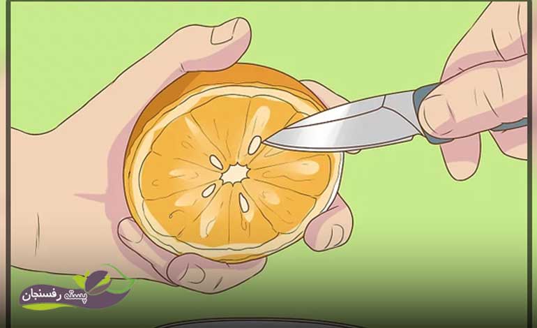 کاشت پرتقال در خانه