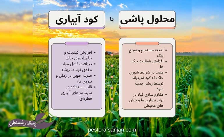 نحوه استفاده از کود آمینو اسید