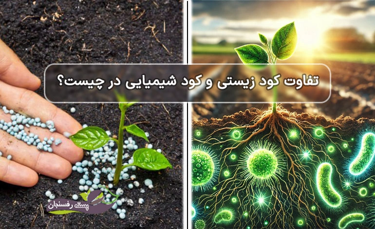 فرق کود زیستی و شیمیایی (کدام یک را استفاده کنیم؟)