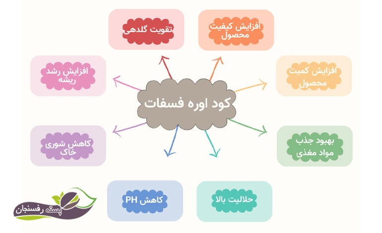 بهترین کود اوره فسفات