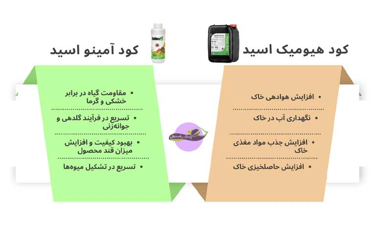 تفاوت هیومیک اسید و آمینو اسید