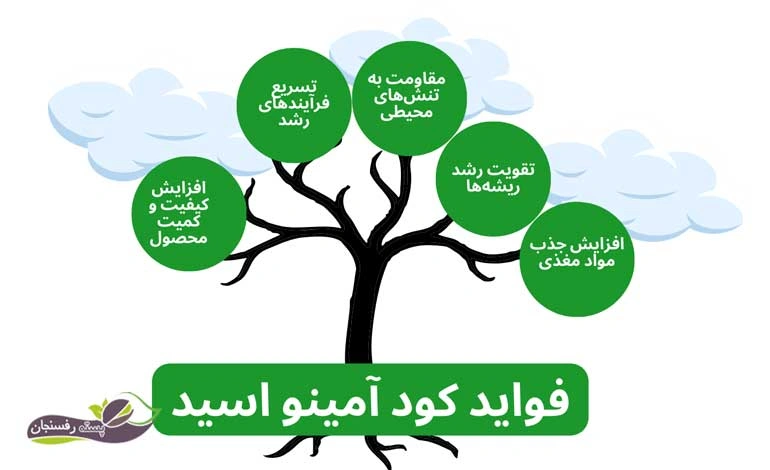 فواید کود آمینو اسید