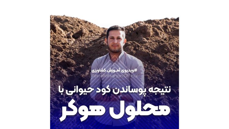 نتیجه پوساندن کود حیوانی با محلول هوکر