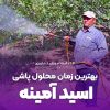 بهترین زمان محلول پاشی اسید آمینه
