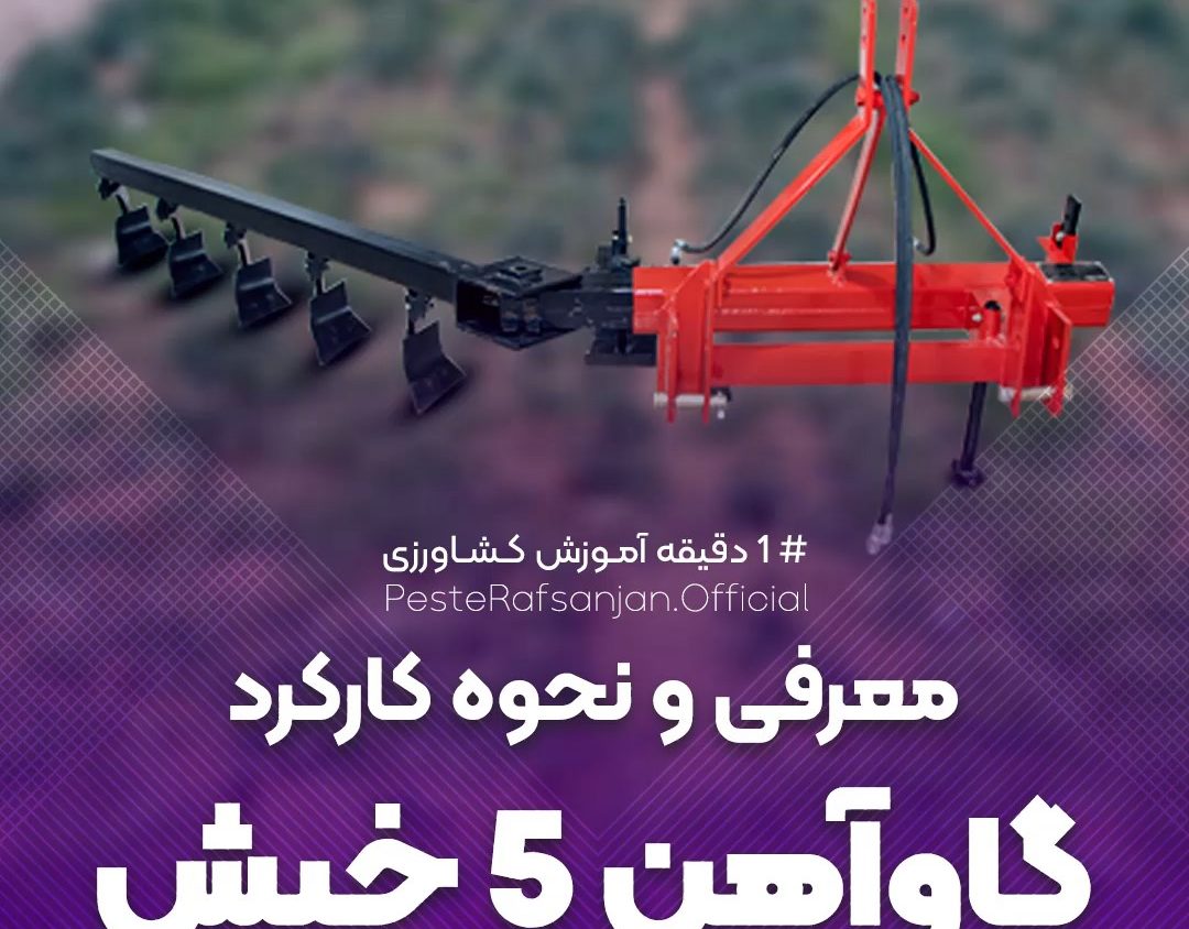 تصویر قبل بارگزاری