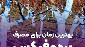 بهترین زمان مصرف بردوفیکس