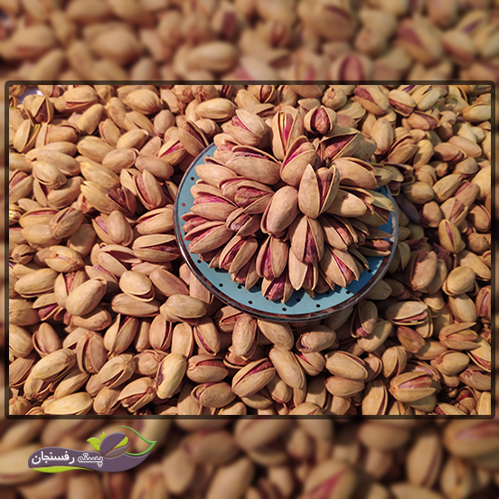 خرید پسته اکبری اعلا