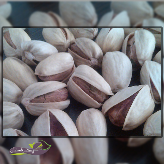 خرید پسته کله قوچی اعلا